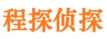 双桥市私家侦探